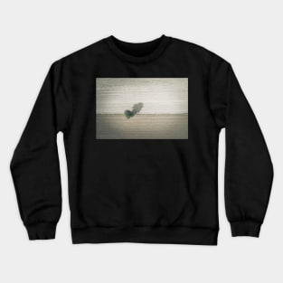 Single tree on agricultural field Crewneck Sweatshirt